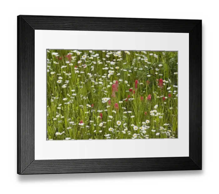 Framed Print : USA, North America, Montana Framed Print : USA, North America, Montana