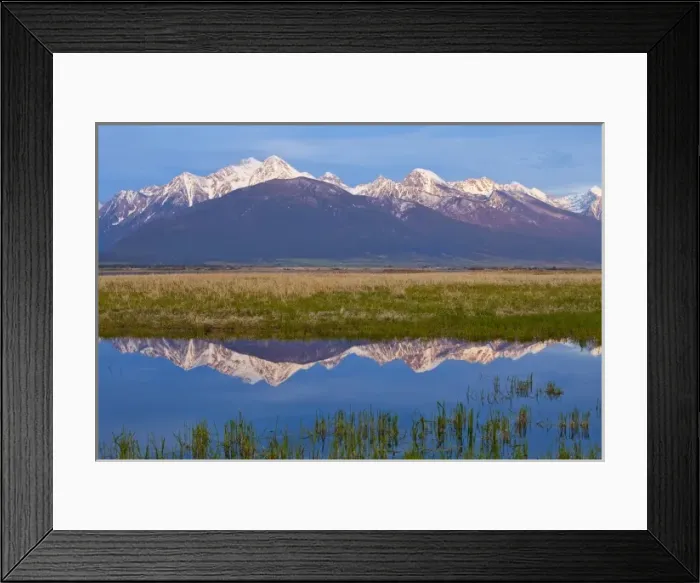 Framed Print : Mission Mountains cast a perfect refection in small pond at the Ninepipe WMA in Framed Print : Mission Mountains cast a perfect refection in small pond at the Ninepipe WMA in