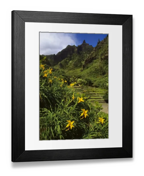 Framed Print : USA, North America, Hawaii