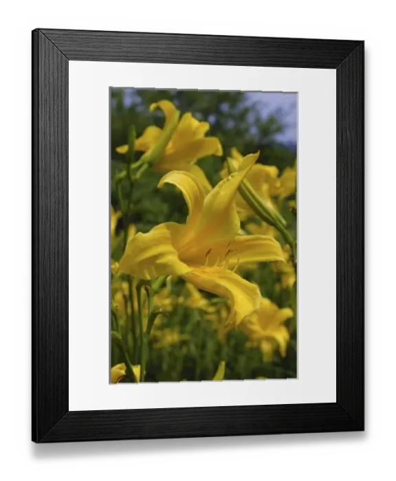 Framed Print : USA, North America, Massachusetts