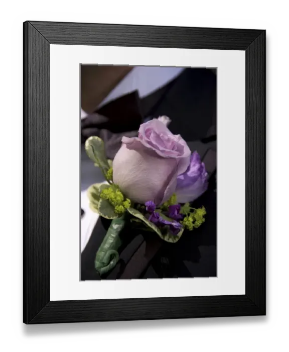 Framed Print : USA, New England, Massachusetts, Boston, Grooms boutonniere, rose, lavender Framed Print : USA, New England, Massachusetts, Boston, Grooms boutonniere, rose, lavender