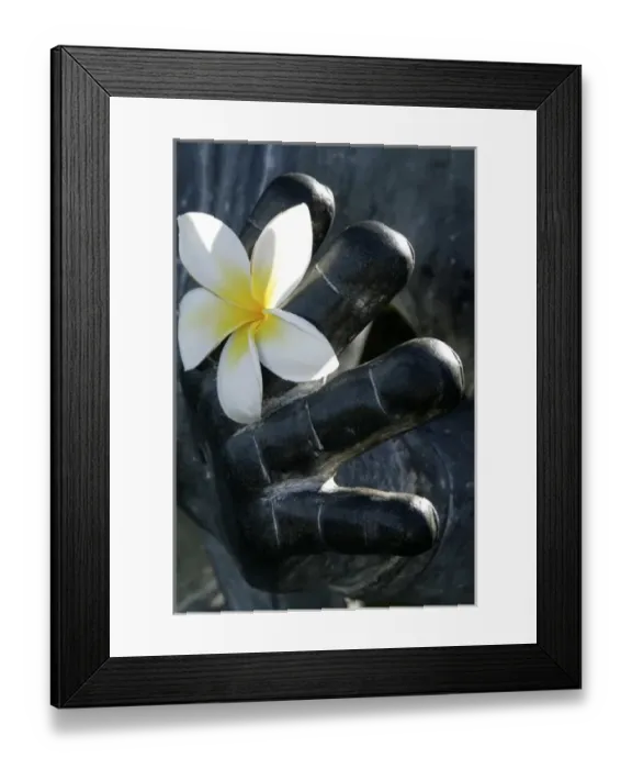 Framed Print : Maui, Hawaii, United States. White dendrobium orchid and hand of buddha statue Framed Print : Maui, Hawaii, United States. White dendrobium orchid and hand of buddha statue