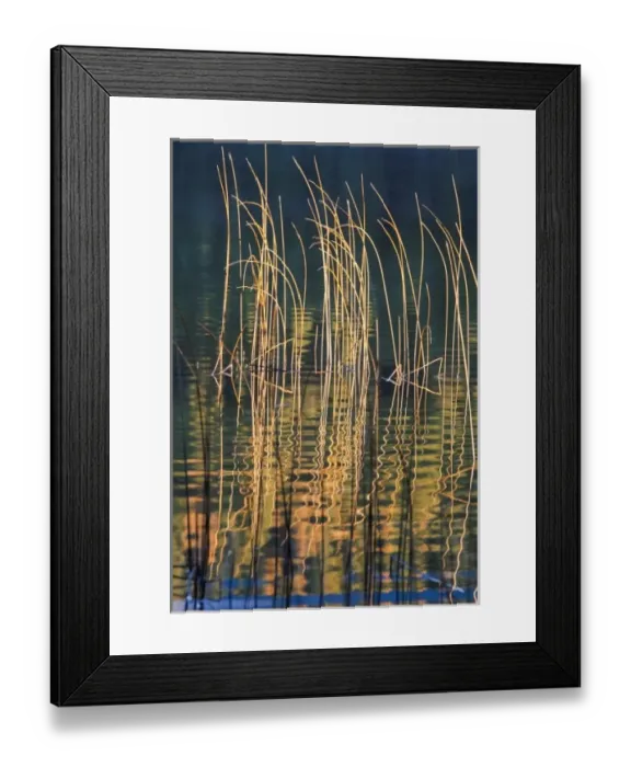 Framed Print : USA, North America, Montana