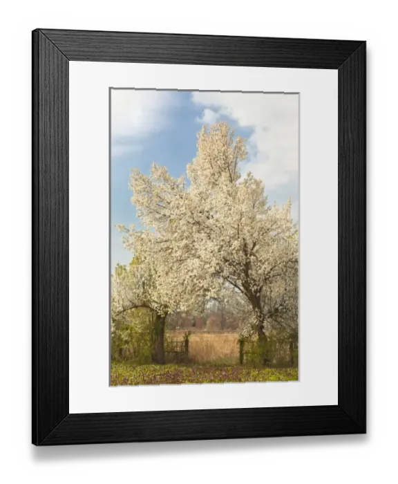 Framed Print : USA, North America, Kentucky Framed Print : USA, North America, Kentucky