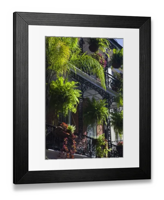 Framed Print : USA, North America, Louisiana Framed Print : USA, North America, Louisiana