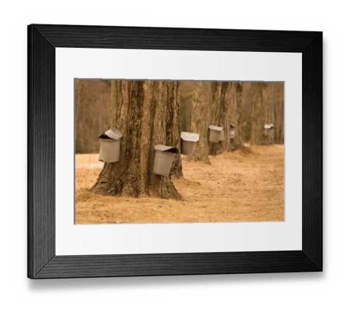Framed Print : USA, North America, Maine Framed Print : USA, North America, Maine