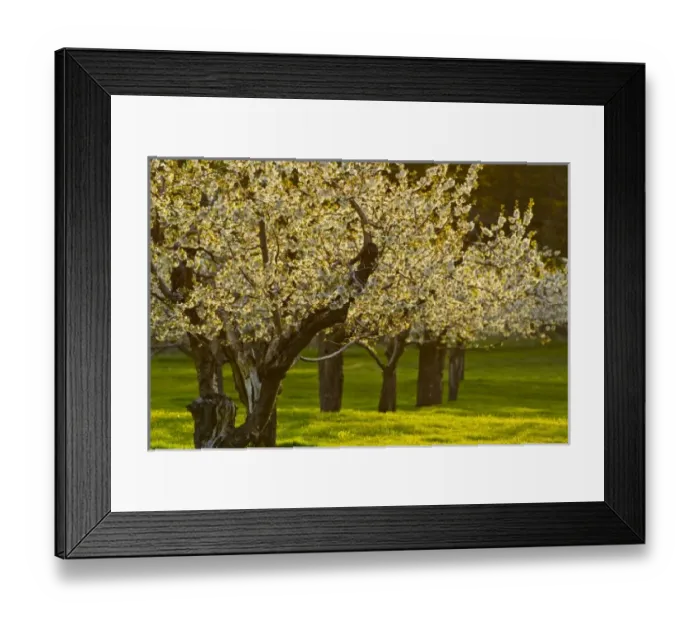 Framed Print : USA, North America, Montana Framed Print : USA, North America, Montana