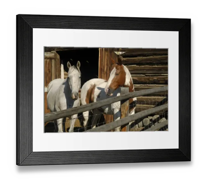 Framed Print : USA, Salmon, Idaho, Horses at Log Barn Framed Print : USA, Salmon, Idaho, Horses at Log Barn