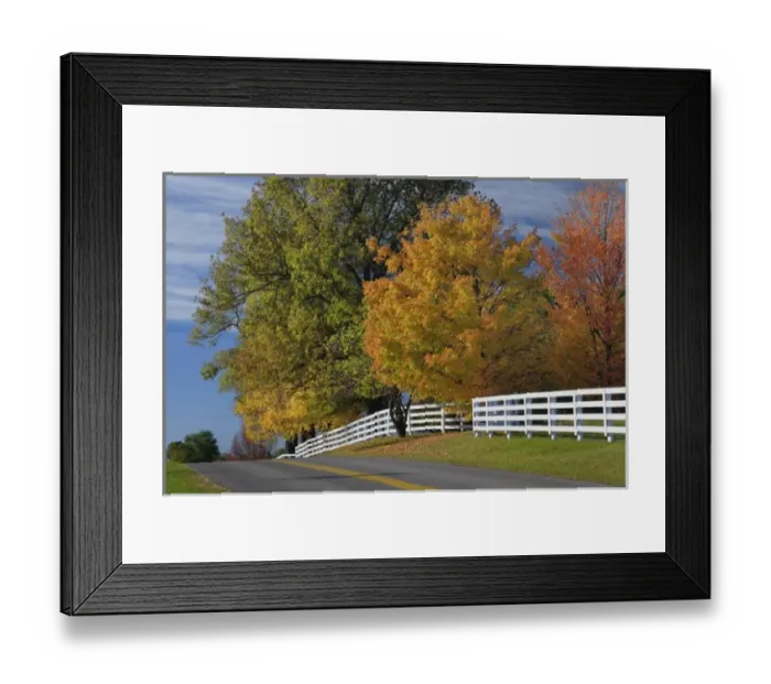 Framed Print : Rural road through Bluegrass region of Kentucky in autumn season near Lexington, Kentucky Framed Print : Rural road through Bluegrass region of Kentucky in autumn season near Lexington, Kentucky