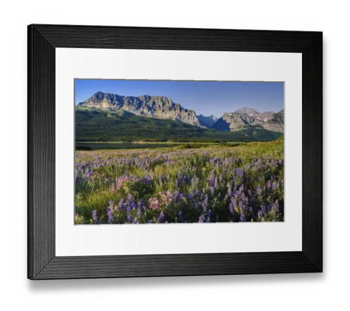 Framed Print : USA, North America, Montana Framed Print : USA, North America, Montana