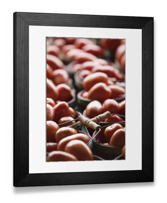 Framed Print : USA, Michigan, Ann Arbor: Ann Arbor Farmers Market, Tomatoes Framed Print : USA, Michigan, Ann Arbor: Ann Arbor Farmers Market, Tomatoes