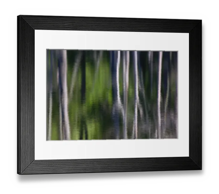 Framed Print : Tree trunk reflections on small lake, Kentucky Framed Print : Tree trunk reflections on small lake, Kentucky