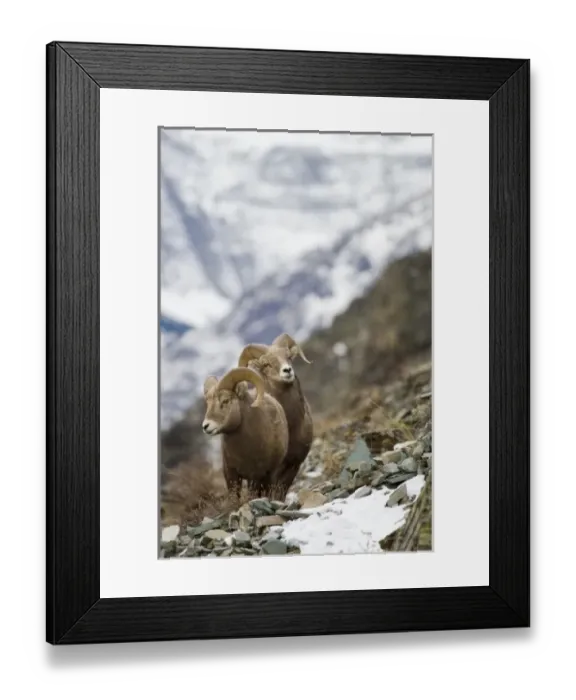 Framed Print : USA, North America, Montana Framed Print : USA, North America, Montana