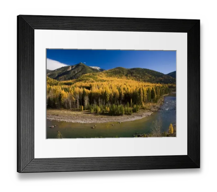Framed Print : Middle Fork of the Flathead River in autumn near Essex Montana