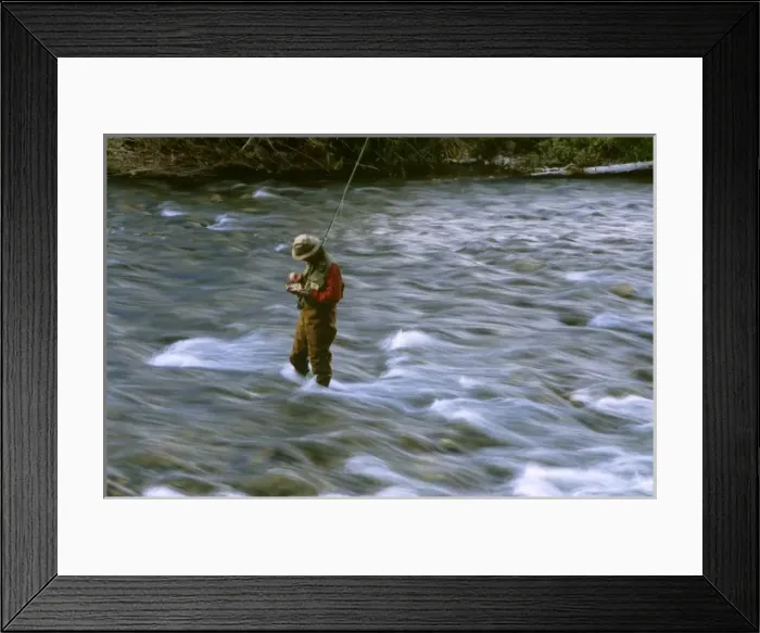 Framed Print : Fly fisherman selects fly to use in Rock Creek near Missoula Montana. (MR)