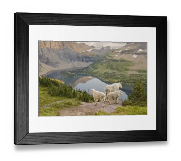 Framed Print : USA, North America, Montana Framed Print : USA, North America, Montana