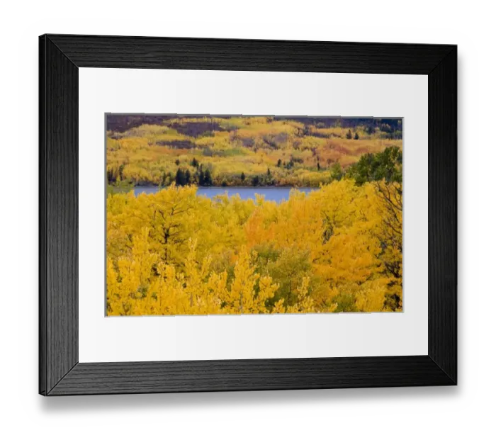 Framed Print : USA, North America, Montana