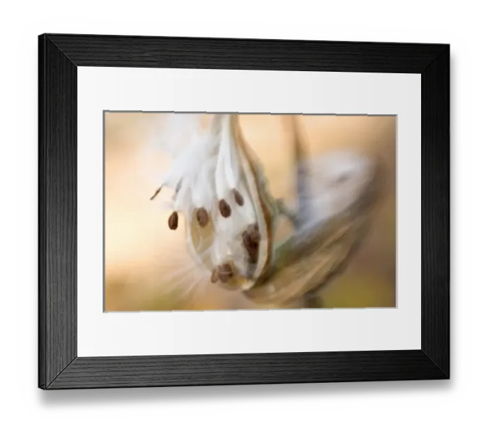 Framed Print : USA, North America, Maine