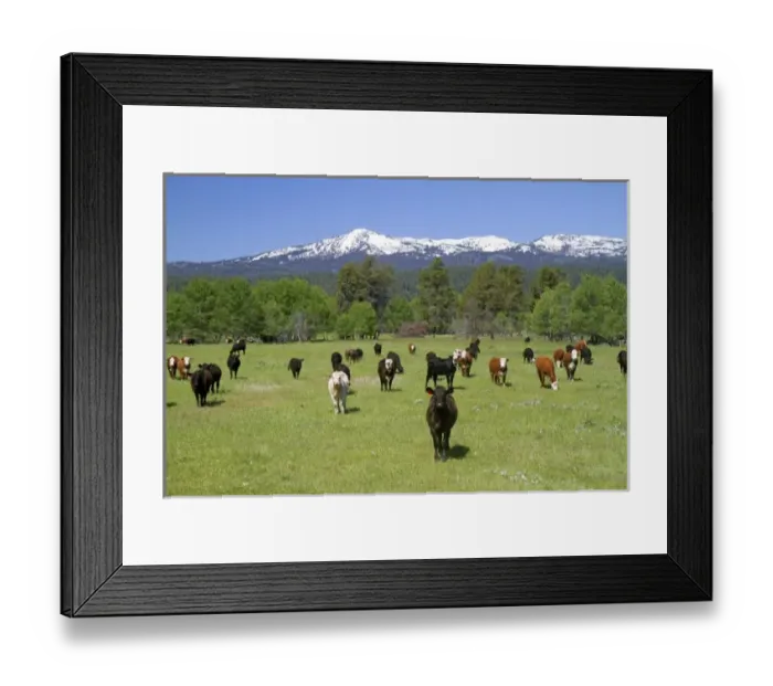 Framed Print : USA, North America, Idaho Framed Print : USA, North America, Idaho
