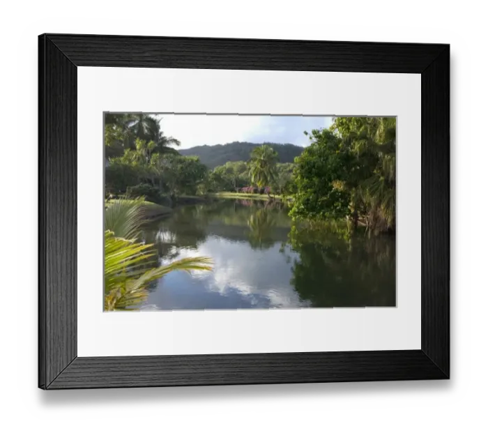 Framed Print : USA, Hawaii, Kauai, Smith Family Luau. (RF) Framed Print : USA, Hawaii, Kauai, Smith Family Luau. (RF)