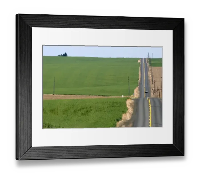 Framed Print : Rural country road with green unripe wheat fields near Pendleton, Idaho Framed Print : Rural country road with green unripe wheat fields near Pendleton, Idaho