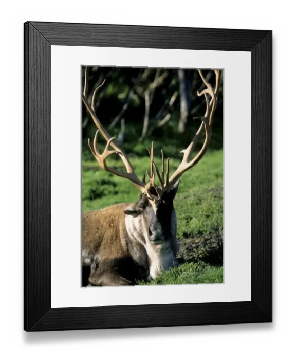 Framed Print : USA, North America, Montana Framed Print : USA, North America, Montana