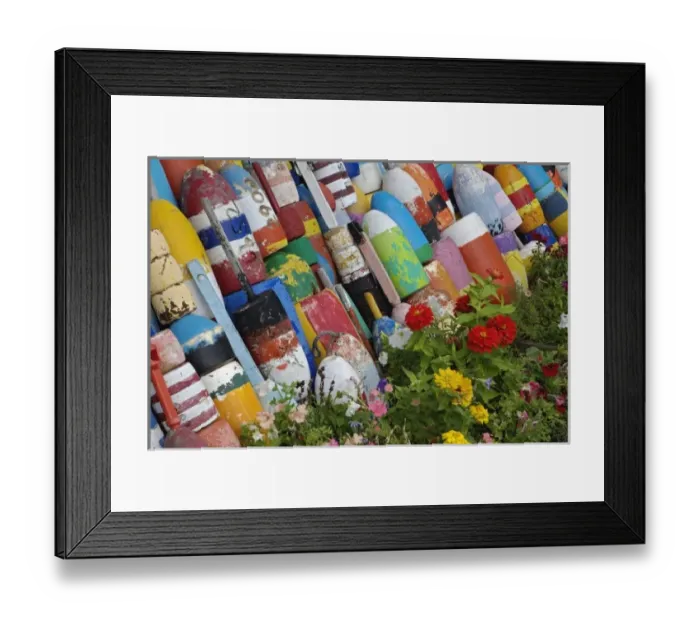 Framed Print : Colorful buoys, Rockport, Cape Ann, Massachusetts Framed Print : Colorful buoys, Rockport, Cape Ann, Massachusetts