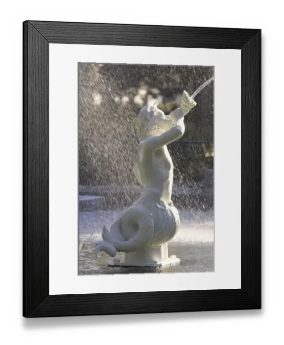 Framed Print : USA, North America, Georgia