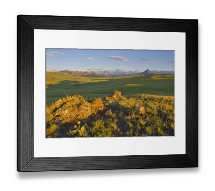 Framed Print : Colorful Reef outcropping with Haystack Butte on the Rocky Mountain Front of Montana Framed Print : Colorful Reef outcropping with Haystack Butte on the Rocky Mountain Front of Montana