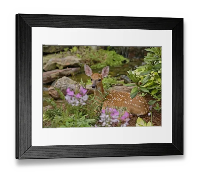 Framed Print : USA, North America, Kentucky Framed Print : USA, North America, Kentucky