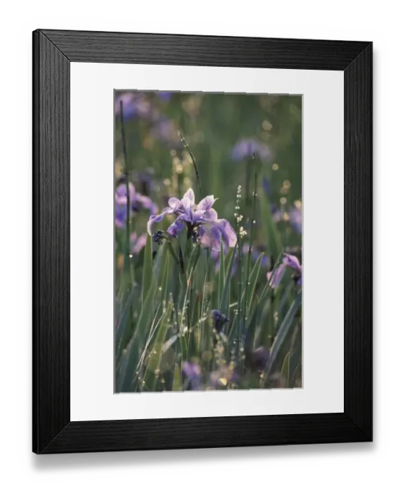 Framed Print : USA, North America, New Hampshire Framed Print : USA, North America, New Hampshire