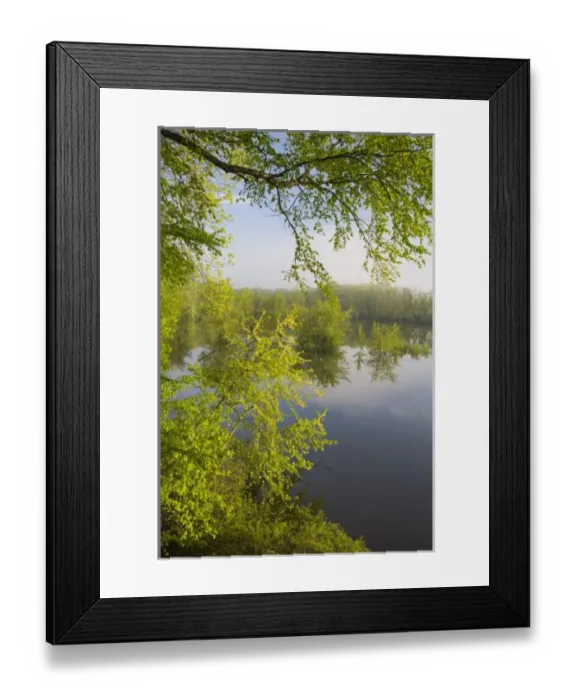 Framed Print : USA, North America, Massachusetts