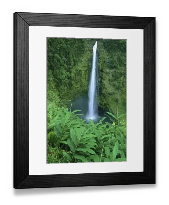 Framed Print : USA, Hawaii, Big Island, Akaka Falls near Hilo, 420 feet high Framed Print : USA, Hawaii, Big Island, Akaka Falls near Hilo, 420 feet high