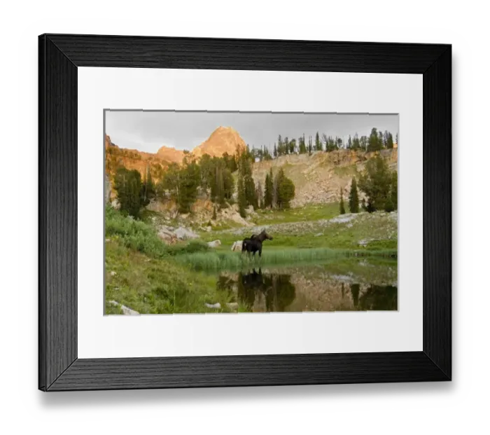 Framed Print : USA, North America, Idaho