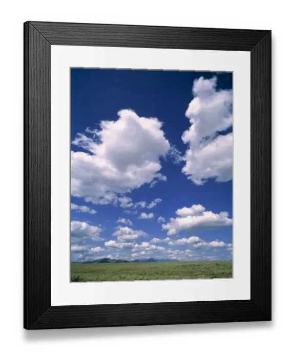 Framed Print : USA, Idaho, Camas Co. Sagebrush is a typical plant found in the Great Basin area in Camas Co Framed Print : USA, Idaho, Camas Co. Sagebrush is a typical plant found in the Great Basin area in Camas Co