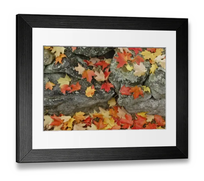 Framed Print : USA, North America, Massachusetts