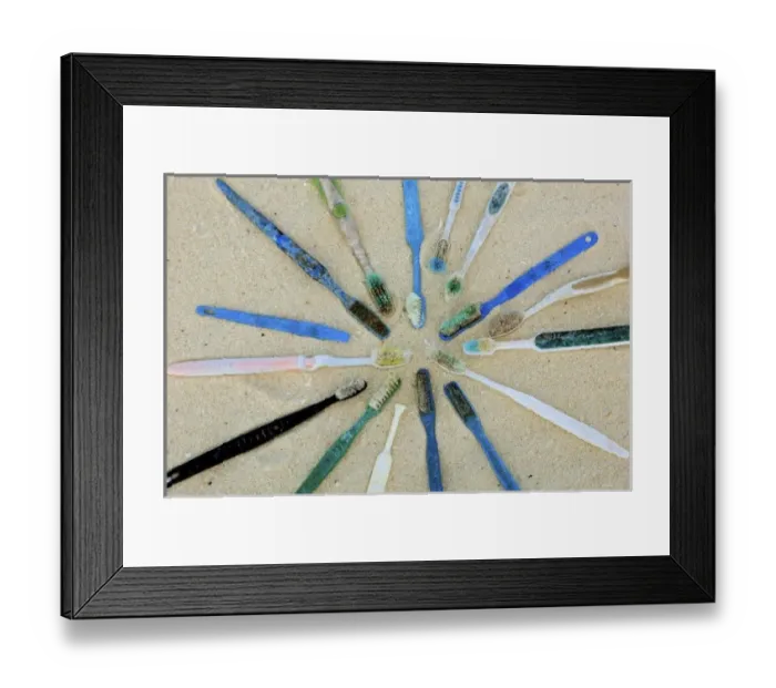 Framed Print : North America, Northwestern Hawaiian Islands, Midway Atoll. Marine debris toothbrushes