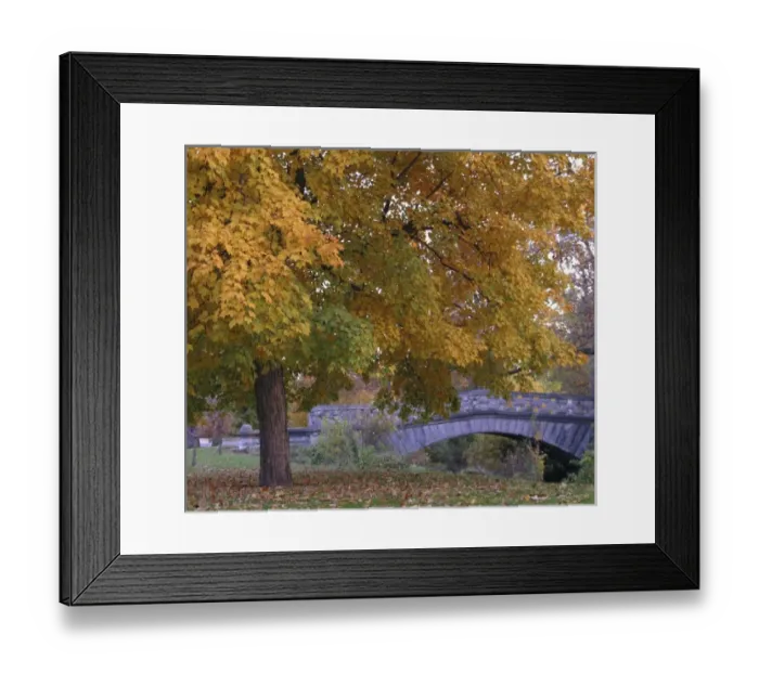 Framed Print : USA, Indiana, Indianapolis. Fall foliage at Garfield park Framed Print : USA, Indiana, Indianapolis. Fall foliage at Garfield park