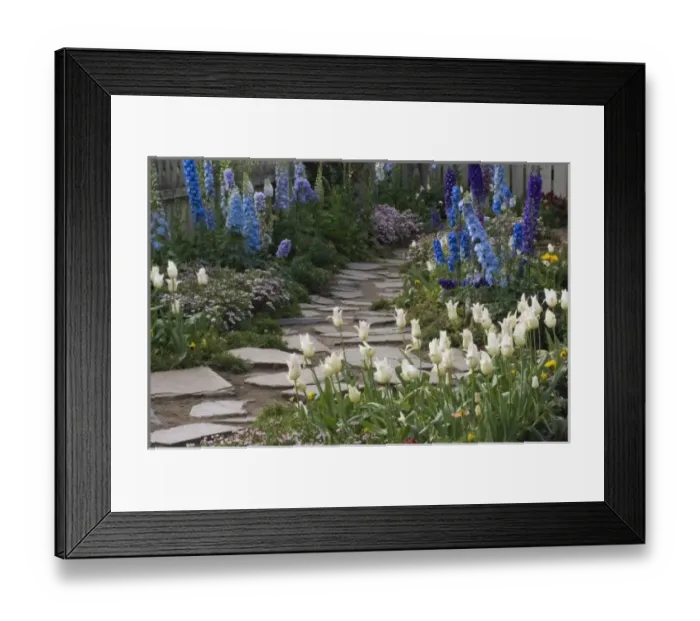 Framed Print : Spring flowers along a garden path, Georgia Framed Print : Spring flowers along a garden path, Georgia