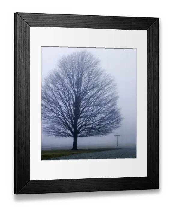 Framed Print : USA, Indiana, Westfield. Tree and Christian cross on a foggy winter day