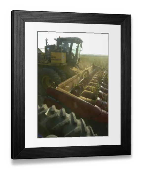 Framed Print : USA, North America, Missouri