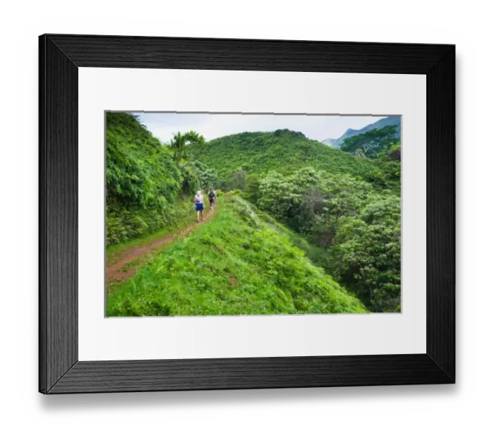 Framed Print : Hawaii, USA. The Kuilau and Moalepe trail begin near Wailuas Keahua Arboretum