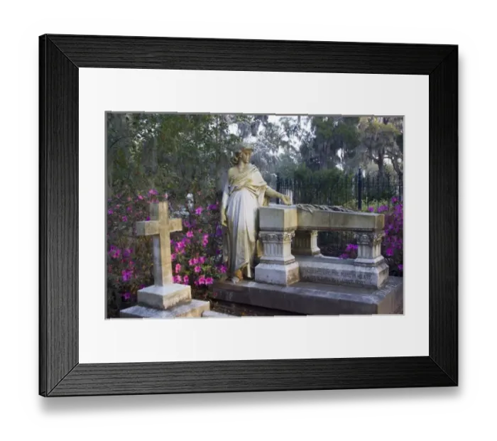 Framed Print : USA, North America, Georgia