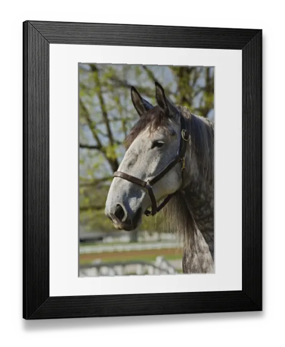 Framed Print : USA, North America, Kentucky