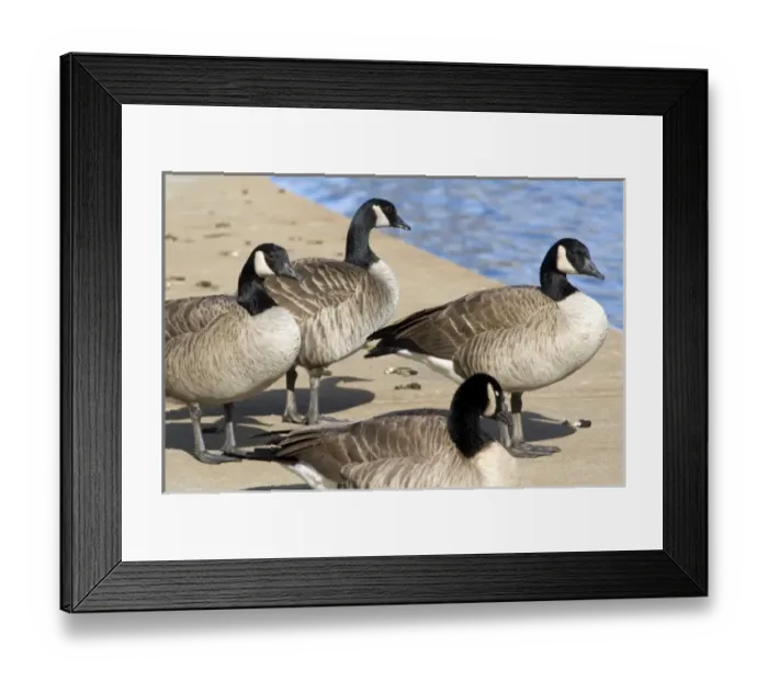 Framed Print : USA, North America, Idaho Framed Print : USA, North America, Idaho