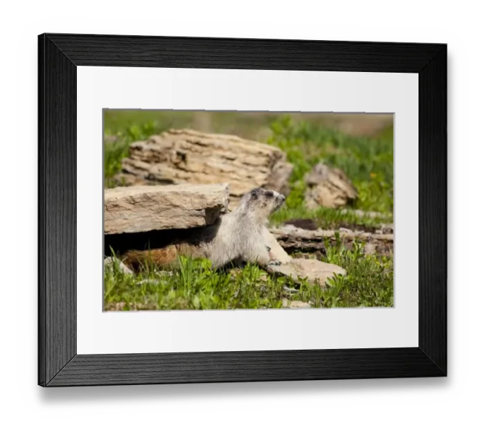 Framed Print : USA, North America, Montana Framed Print : USA, North America, Montana