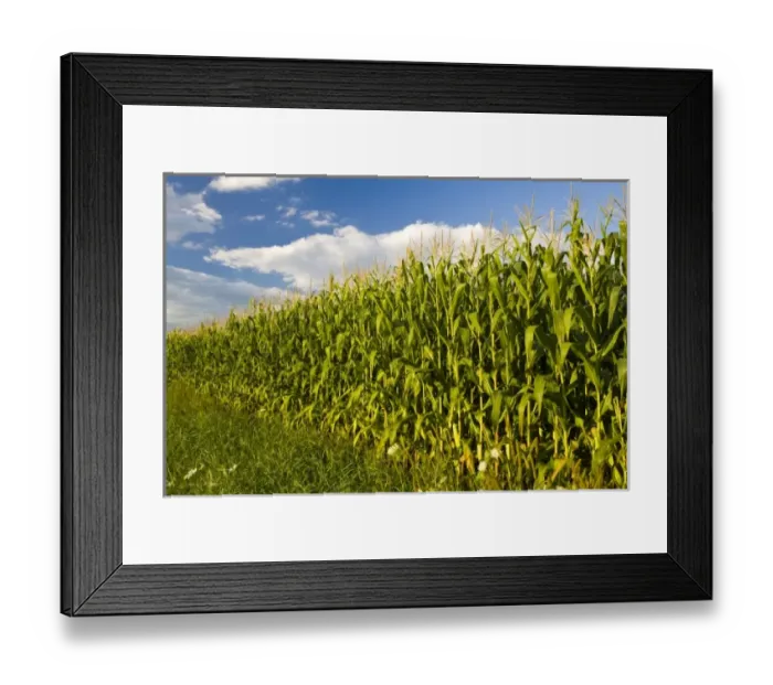 Framed Print : USA, North America, Massachusetts Framed Print : USA, North America, Massachusetts