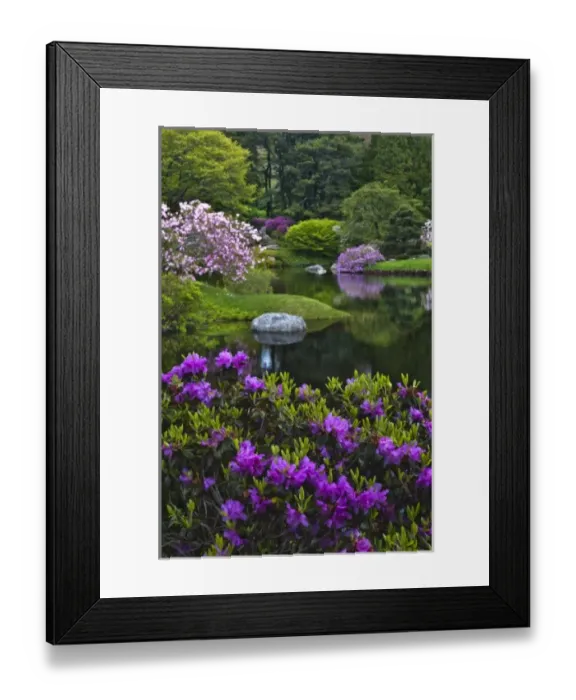 Framed Print : USA, Maine, Northeast Harbor. View of Asticou Azalea Gardens