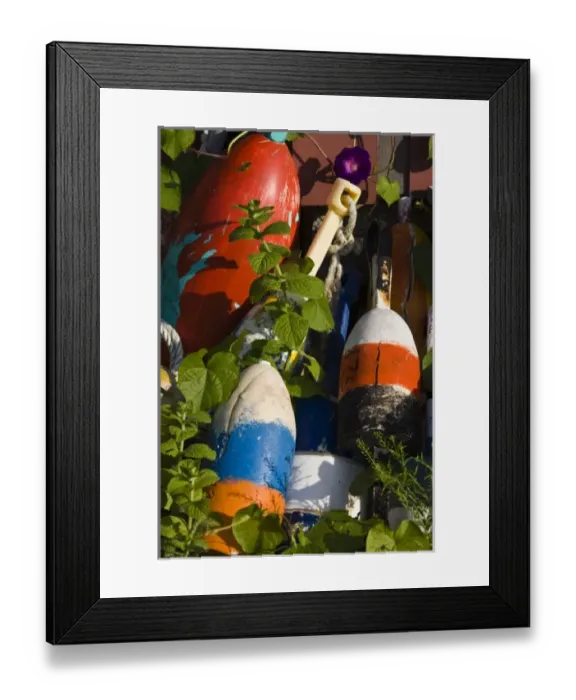 Framed Print : USA, Massachusetts, Cape Ann, Rockport. Lobster buoys Framed Print : USA, Massachusetts, Cape Ann, Rockport. Lobster buoys