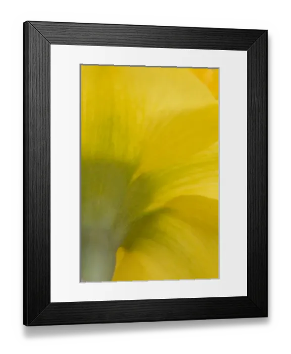 Framed Print : USA, North America, Georgia Framed Print : USA, North America, Georgia